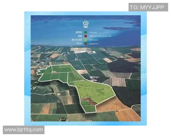 足球球星与红酒的完美融合品味之旅 品鉴明星们的独特酒庄传奇